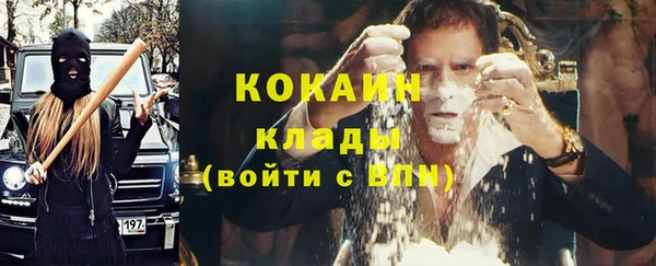 мдпв Козельск