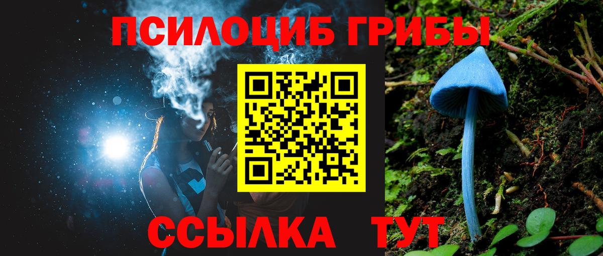 Псилоцибиновые грибы GOLDEN TEACHER  Вход с VPN  наркотики  Кинель  Галлюциногенные грибы Psilocybine cubensis 