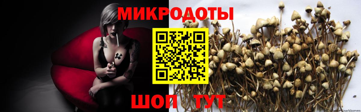 Псилоцибиновые грибы MAGIC MUSHROOMS Кинель