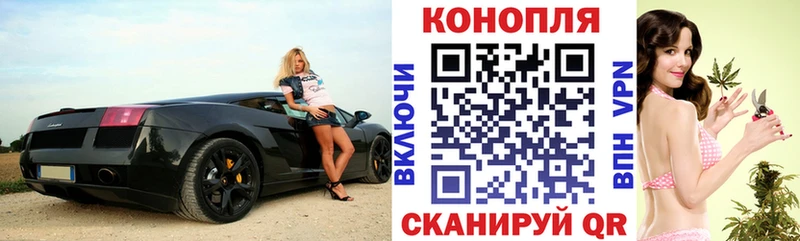 Шишки марихуана OG Kush  Кинель 